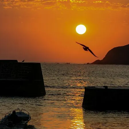 Eco * Mundaka