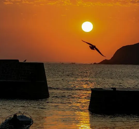 エコ * ムンダカ