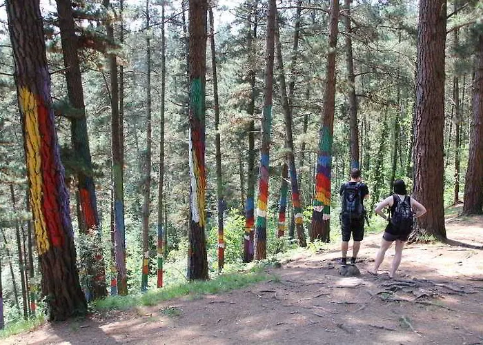 エコ * ムンダカ